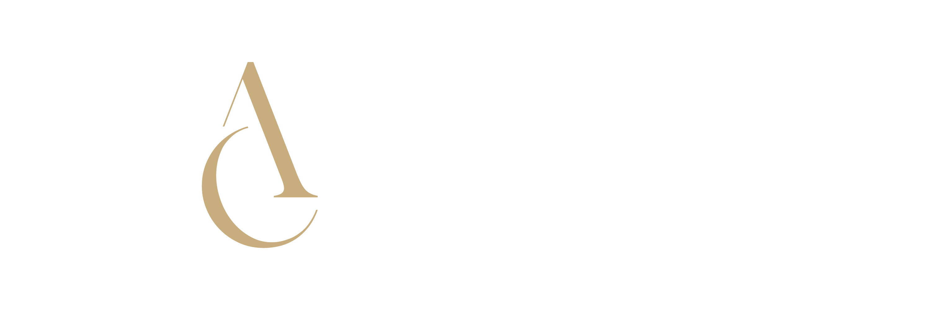 ALMISOL Logo